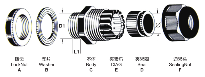 a.jpg