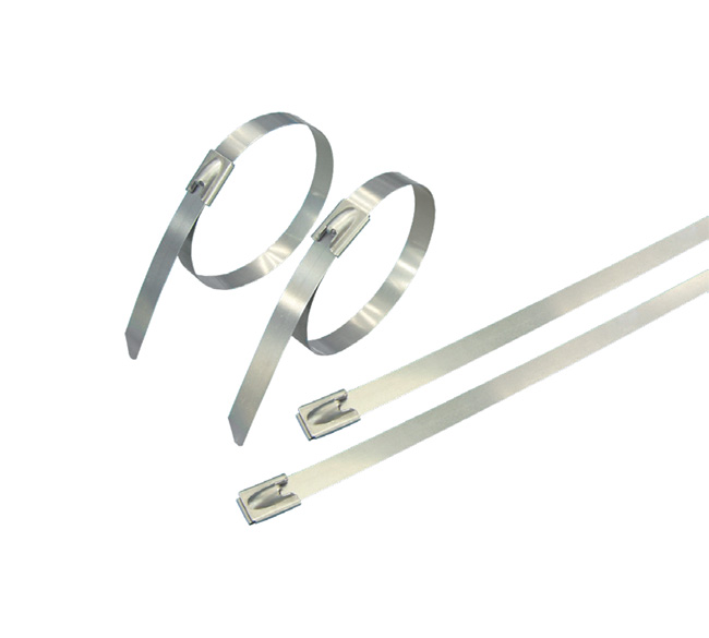 Stainless Steel Cable Ties